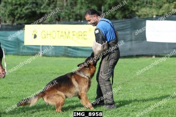 IMG_8958.jpg
