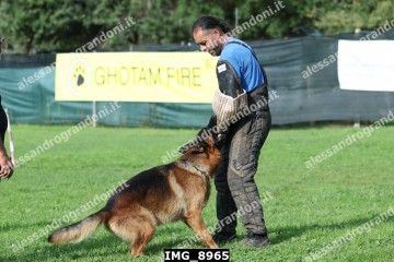 IMG_8965.jpg