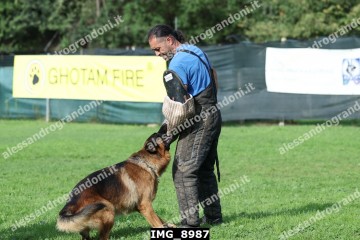 IMG_8987.jpg