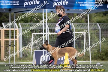 IMG_9702.jpg