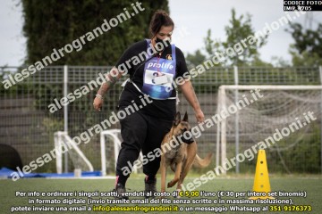 IMG_9705.jpg