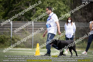 IMG_9712.jpg