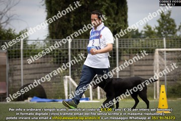 IMG_9717.jpg