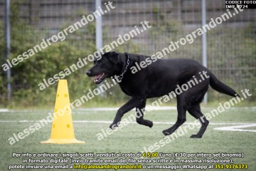 IMG_9724.jpg