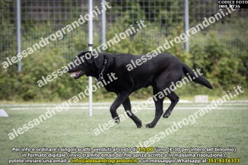 IMG_9726.jpg