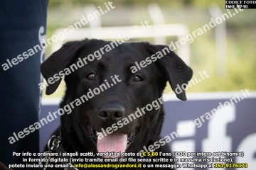 IMG_9748.jpg
