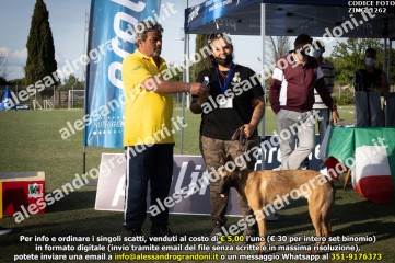 ZIMG_1262.jpg