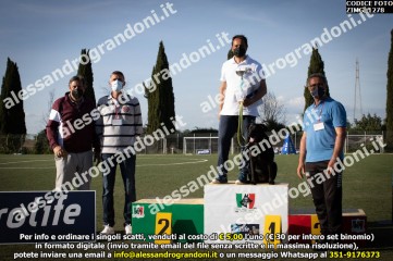 ZIMG_1278.jpg