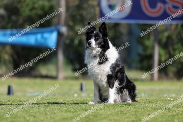 IMG_2251.jpg