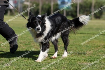 IMG_2288 (2).jpg