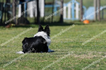 IMG_4902.jpg