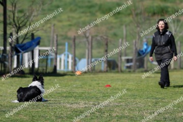 IMG_4907.jpg