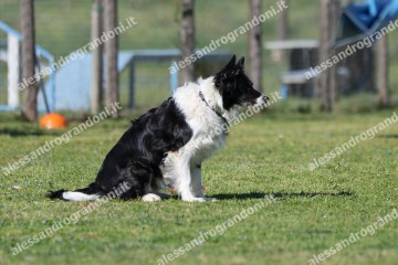 IMG_4930.jpg