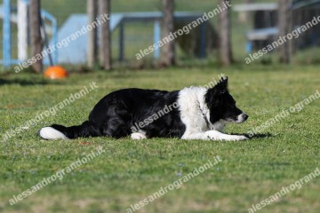 IMG_4935.jpg