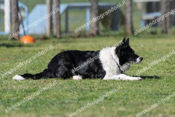 IMG_4940.jpg