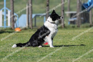 IMG_4945.jpg