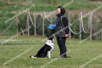 IMG_4995.jpg