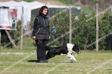IMG_5071.jpg