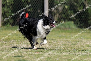 IMG_5081.jpg
