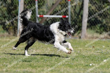 IMG_5095.jpg