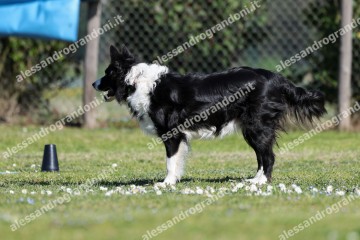 IMG_5115.jpg