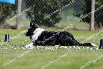 IMG_5125.jpg