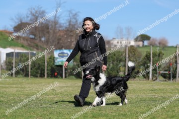 IMG_5174.jpg