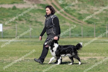 IMG_5203.jpg