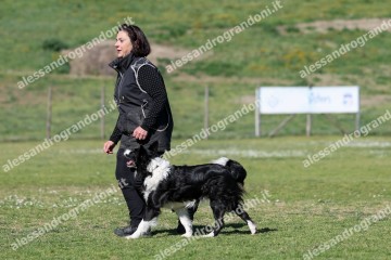 IMG_5208.jpg