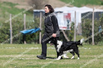 IMG_5232.jpg