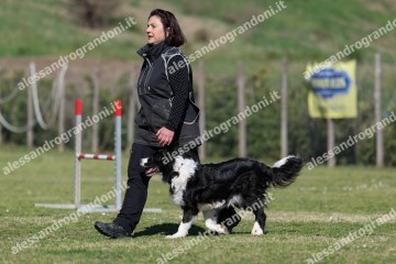 IMG_5246.jpg