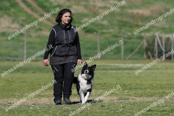 IMG_5256.jpg