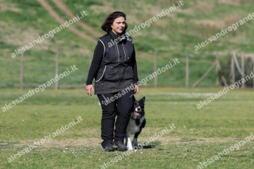 IMG_5266.jpg
