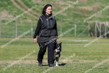 IMG_5272.jpg