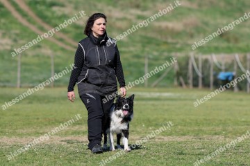 IMG_5280.jpg