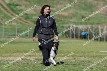 IMG_5292.jpg