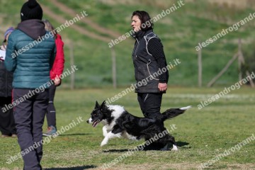 IMG_5313.jpg