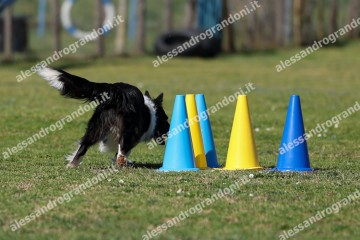 IMG_5343.jpg