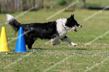 IMG_5354.jpg