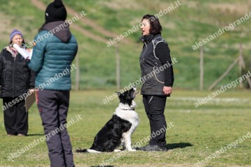 IMG_5376.jpg