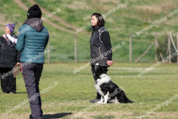 IMG_5384.jpg
