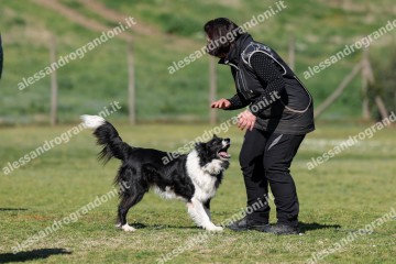 IMG_5420.jpg