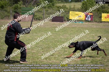 IMG9_21A0139.jpg