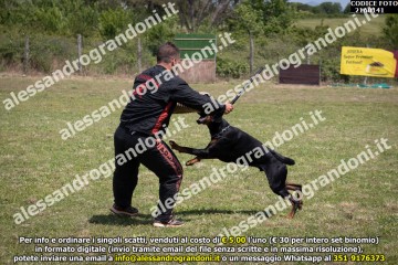IMG9_21A0141.jpg