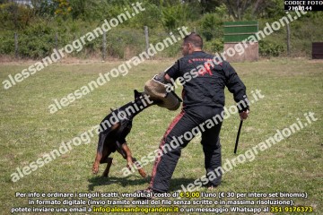 IMG9_21A0144.jpg