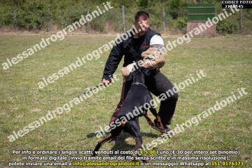 IMG9_21A0145.jpg