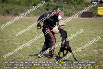 IMG9_21A0148.jpg