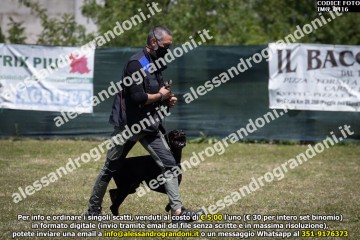 IMG_0416.jpg