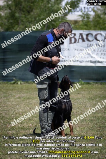 IMG_0438.jpg