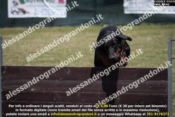 IMG_0446.jpg